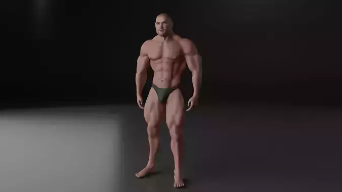 Human Body - Muscular Male