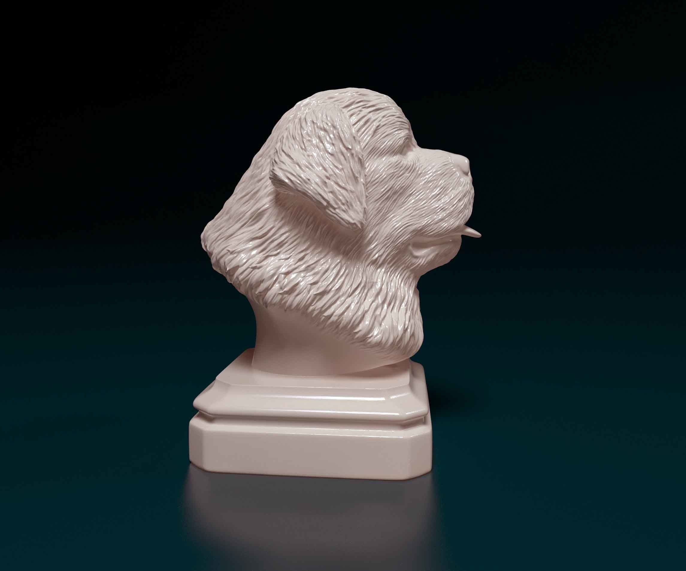 Newfoundland bust 3D print model_1