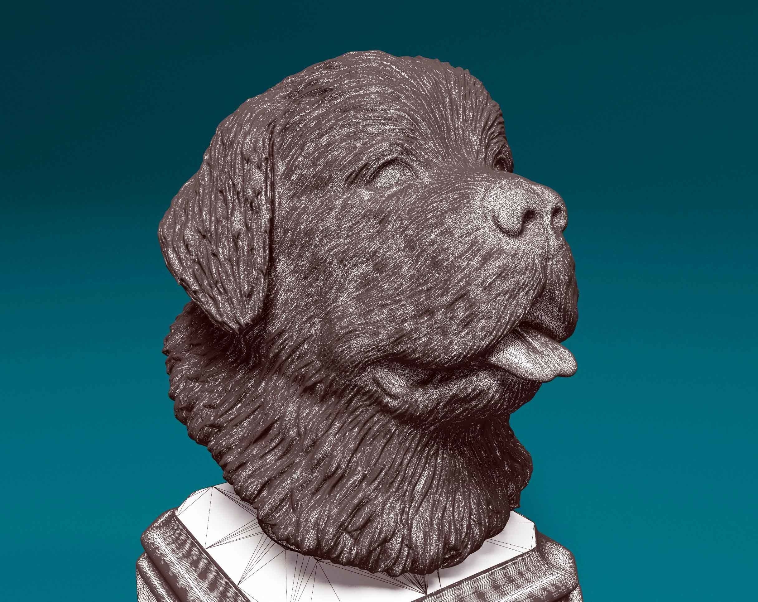 Newfoundland bust 3D print model_6