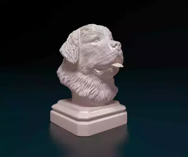 Newfoundland bust