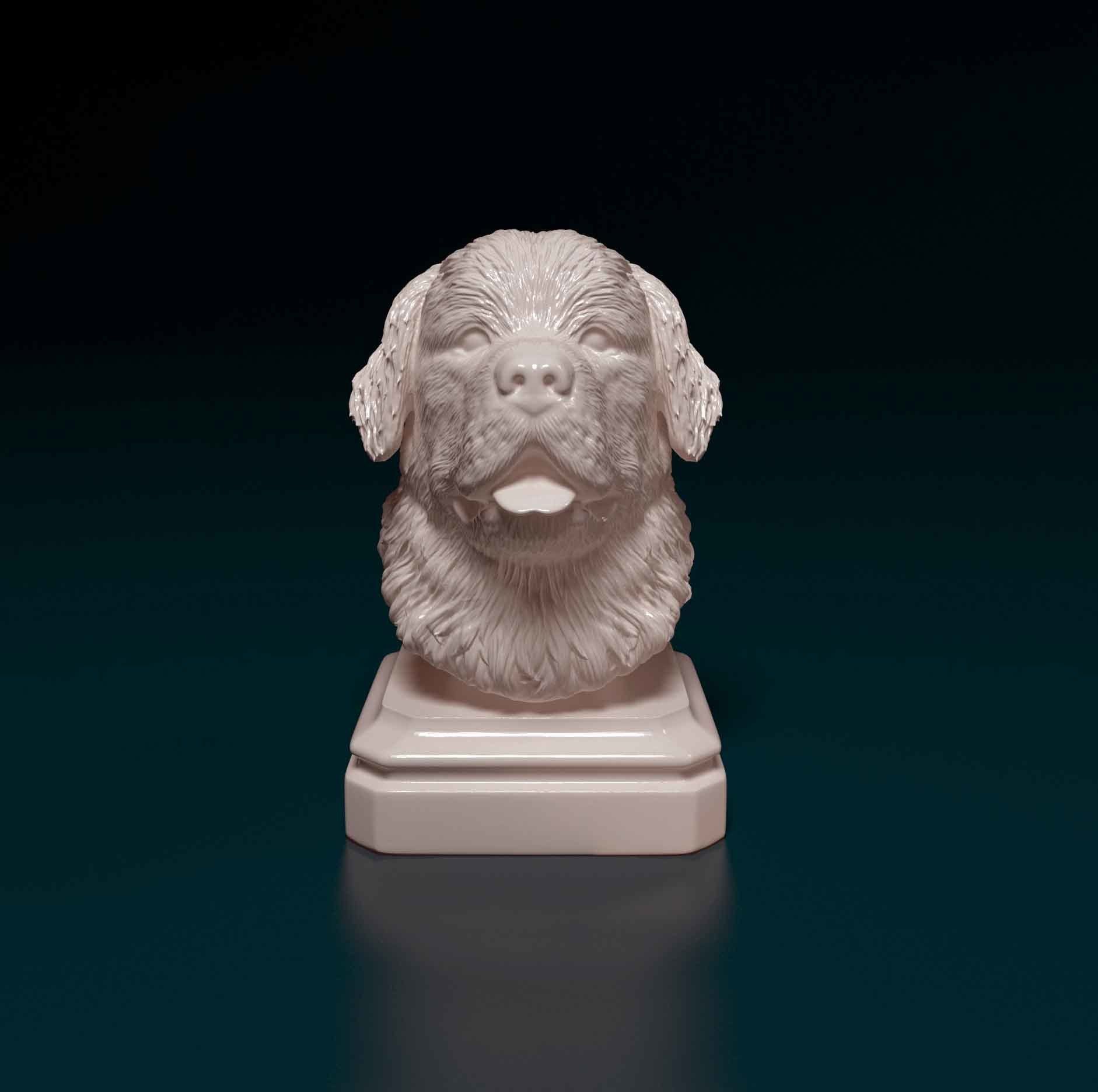 Newfoundland bust 3D print model_5