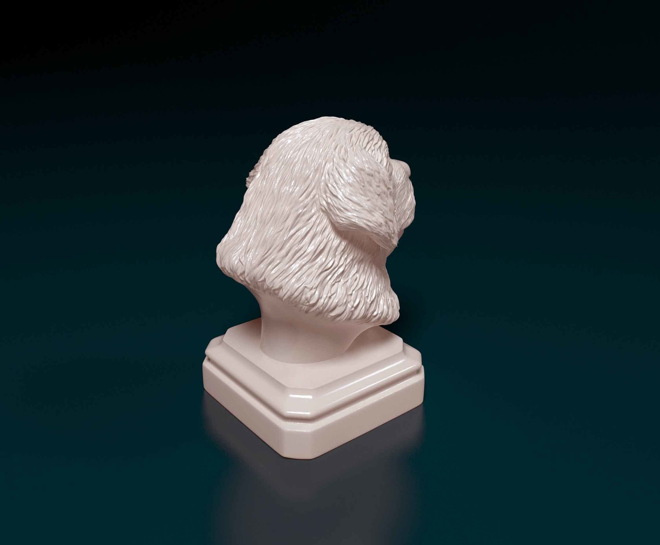 Newfoundland bust 3D print model_2