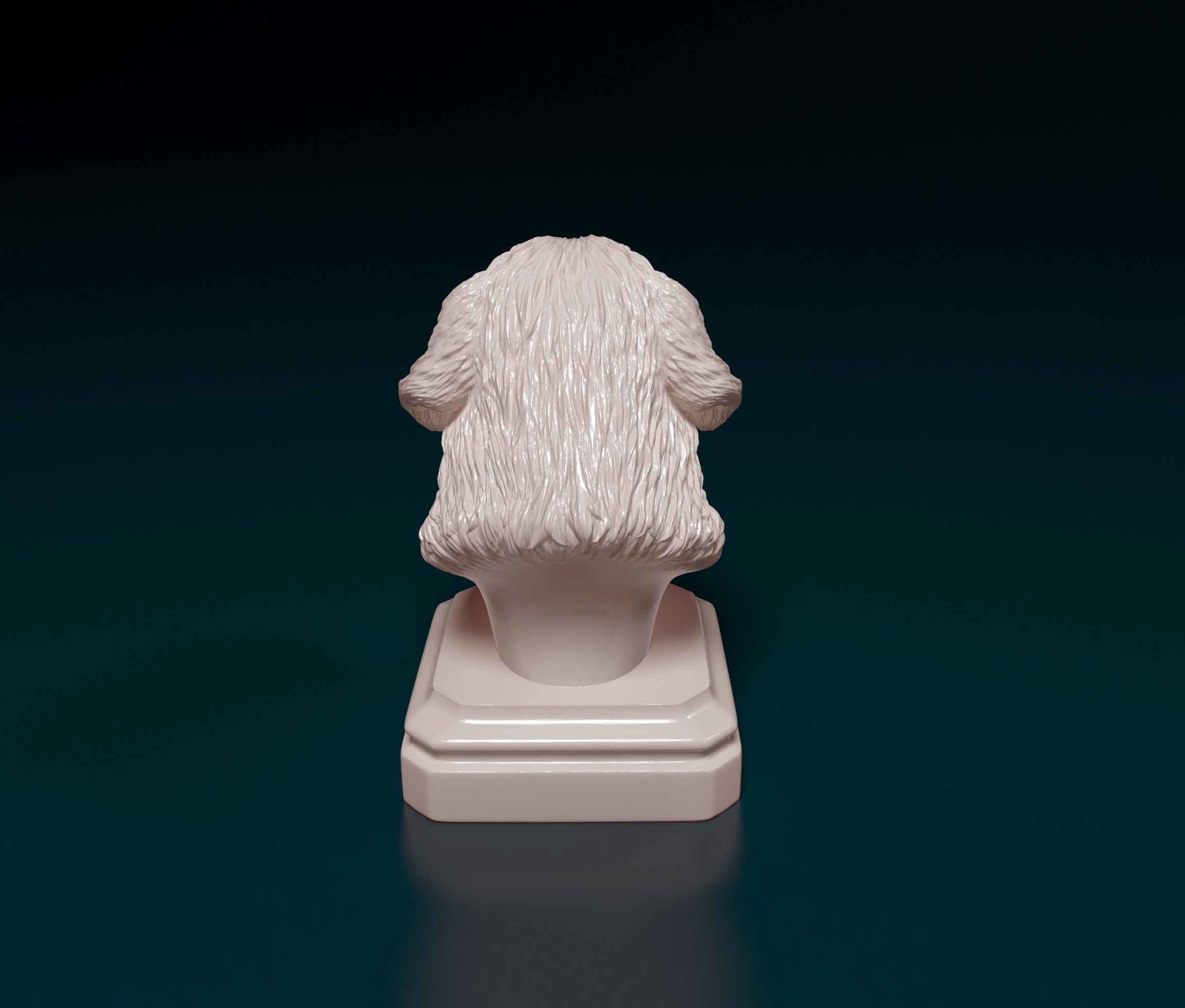 Newfoundland bust 3D print model_3