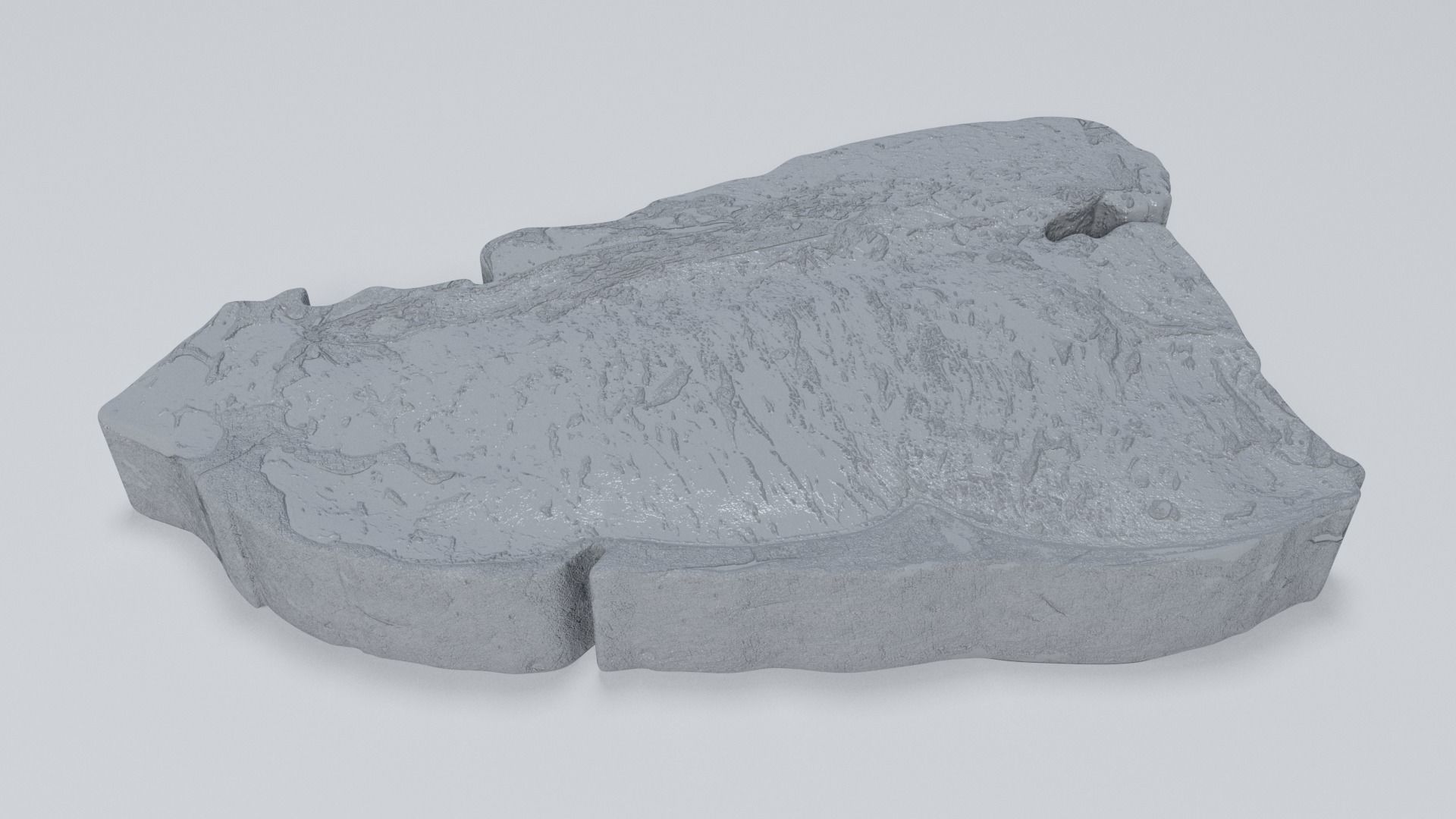 Raw Beef Steak 3D model_6