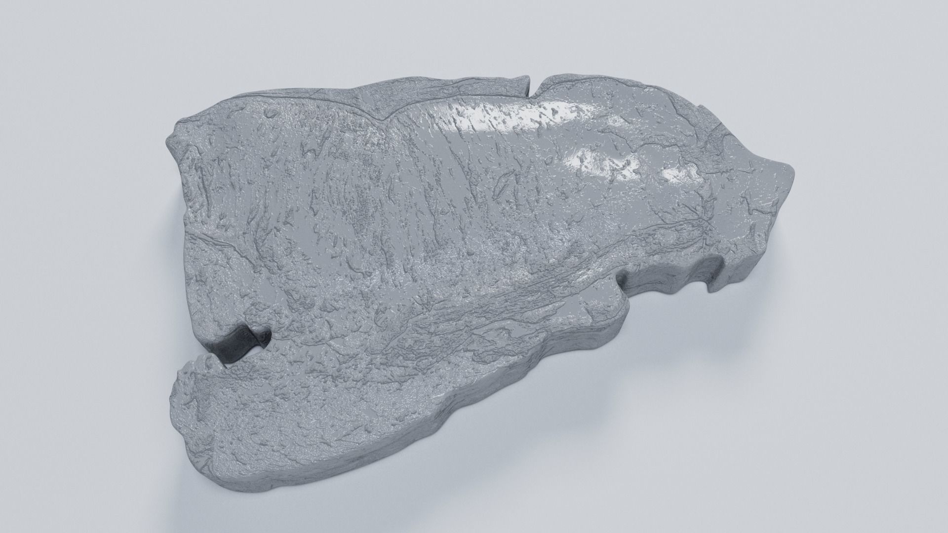 Raw Beef Steak 3D model_7