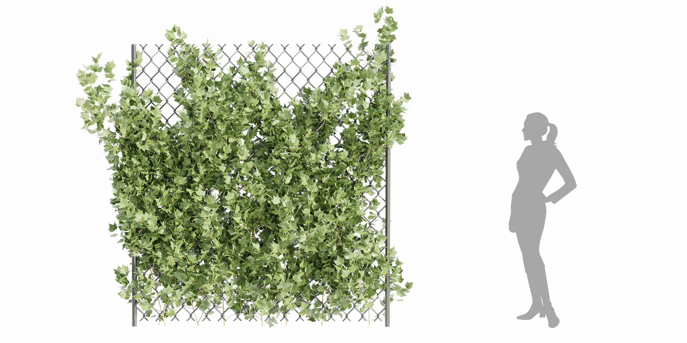 outdoor ivy fence collection vol 68-Blender 3D model_7