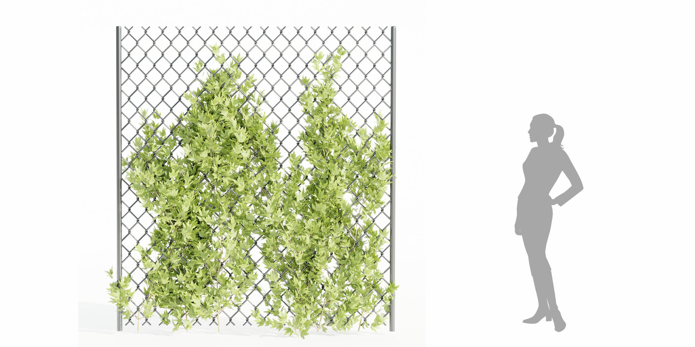 outdoor ivy fence collection vol 68-Blender 3D model_8