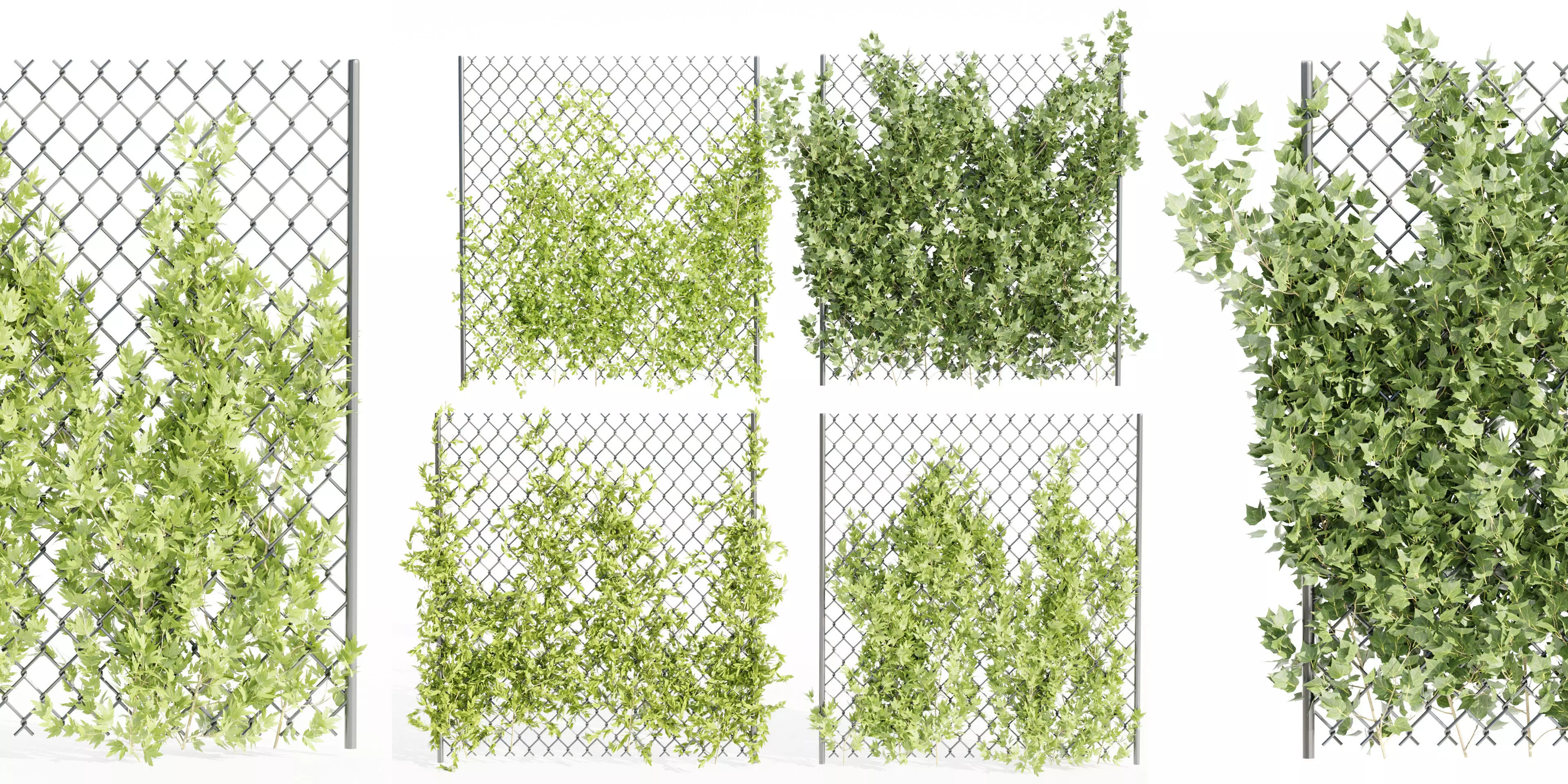 outdoor ivy fence collection vol 68-Blender 3D model_0
