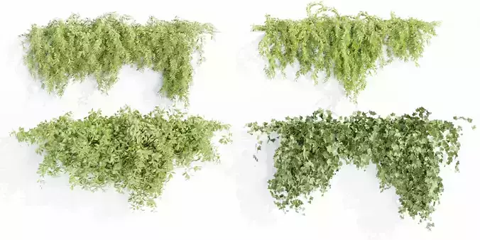 Hanging wall plants collection vol 72-Blender 3D model