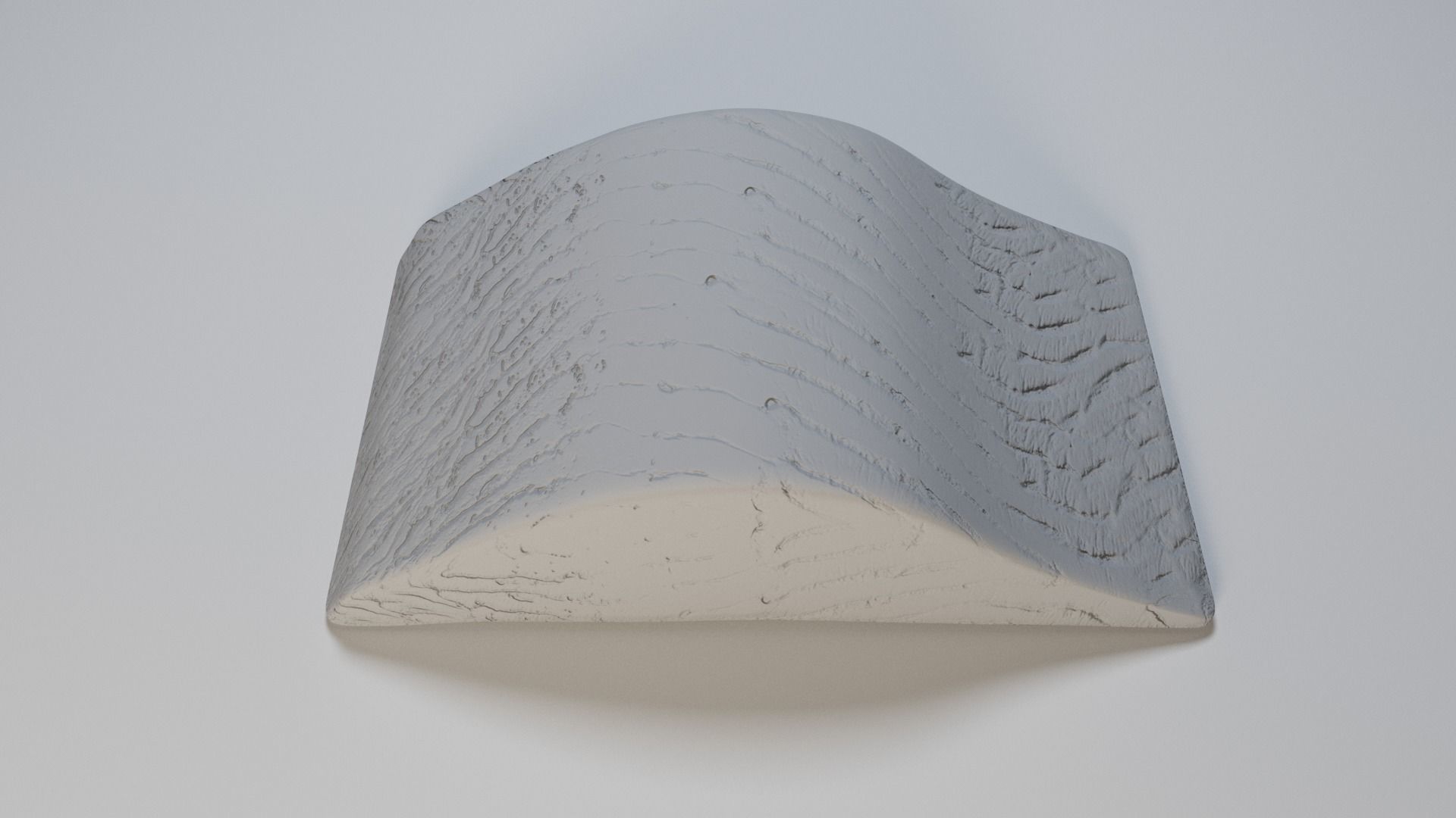 Salmon Fillet 3D model_5