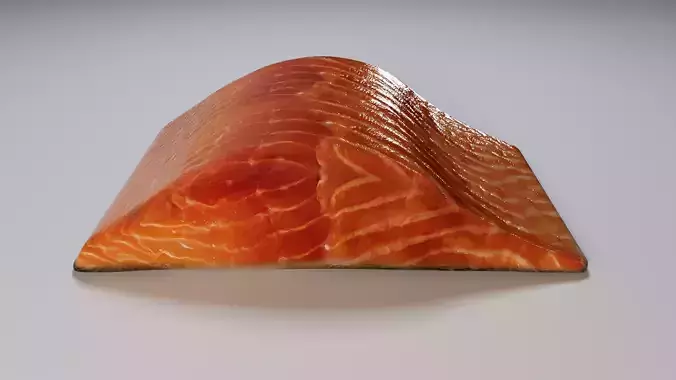 Salmon Fillet 3D model