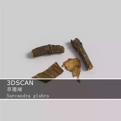 3DSCAN-Traditional Chinese Medicine-Sarcandra glabra