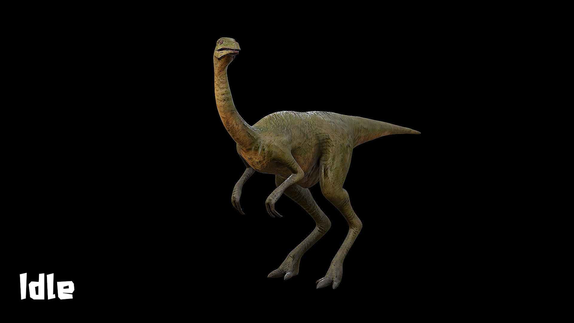 Gallimimus - The Chicken Mimic Low-poly 3D model_12