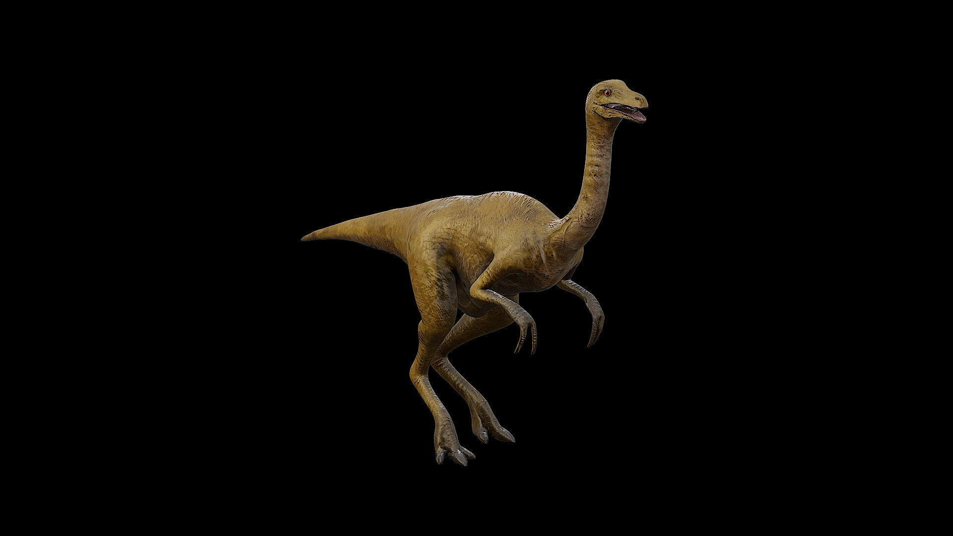 Gallimimus - The Chicken Mimic Low-poly 3D model_4