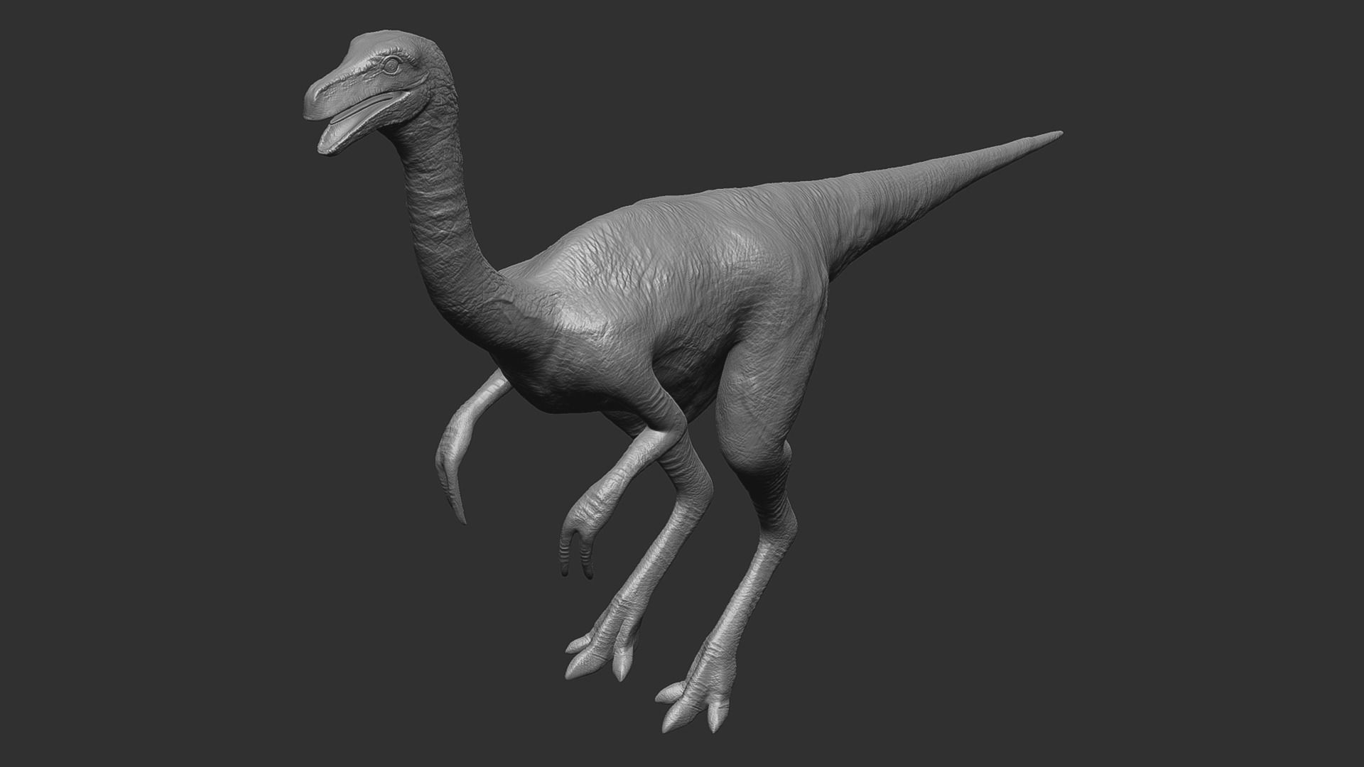 Gallimimus - The Chicken Mimic Low-poly 3D model_8