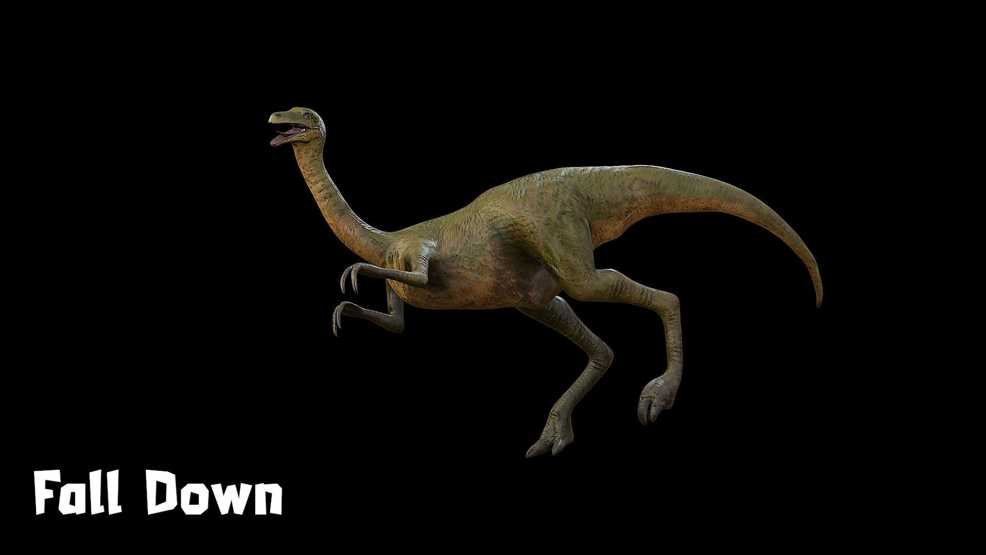 Gallimimus - The Chicken Mimic Low-poly 3D model_23