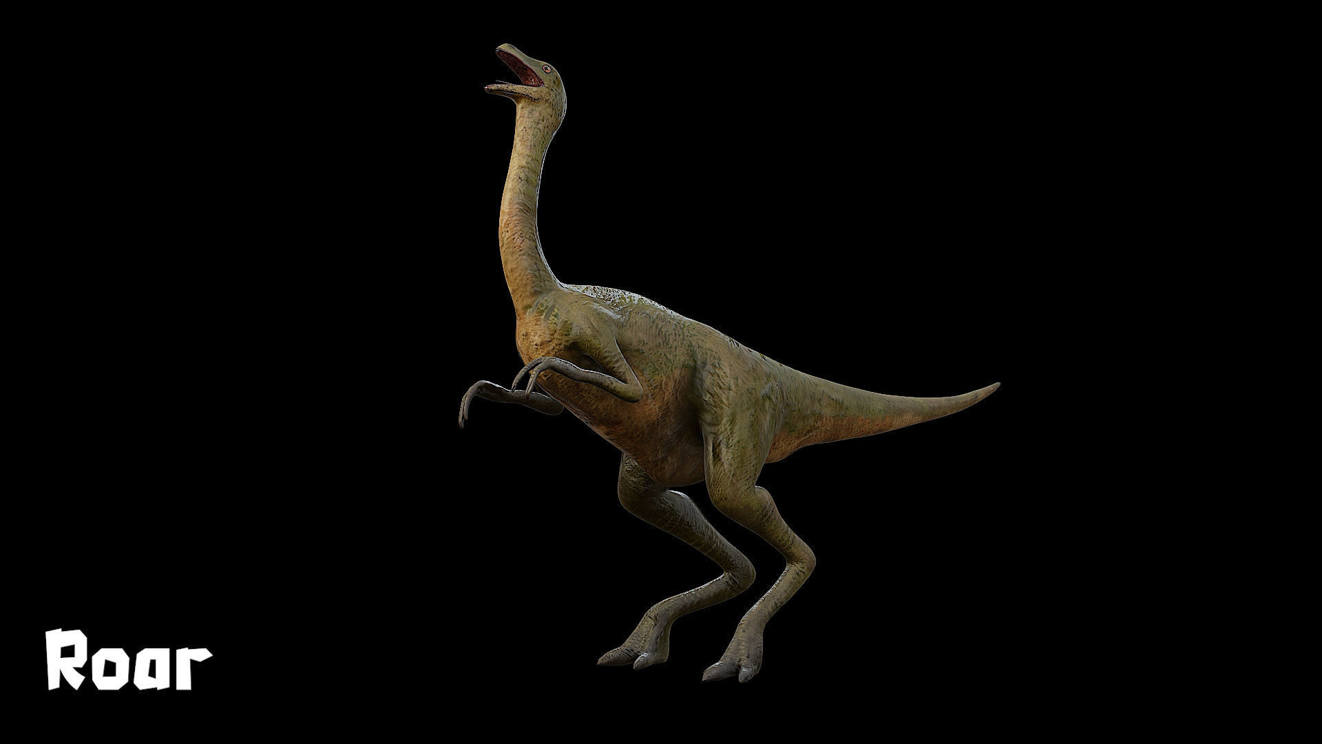 Gallimimus - The Chicken Mimic Low-poly 3D model_21