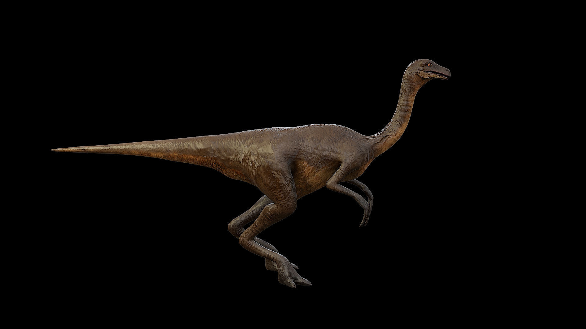 Gallimimus - The Chicken Mimic Low-poly 3D model_5