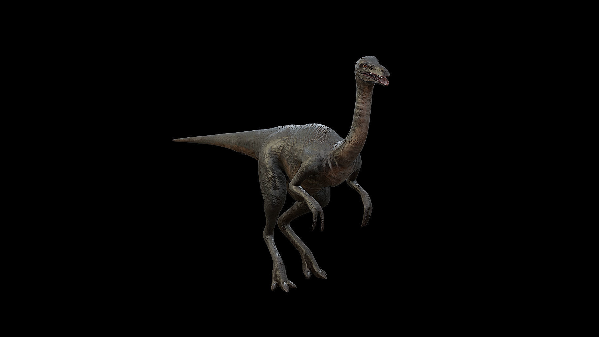 Gallimimus - The Chicken Mimic Low-poly 3D model_3
