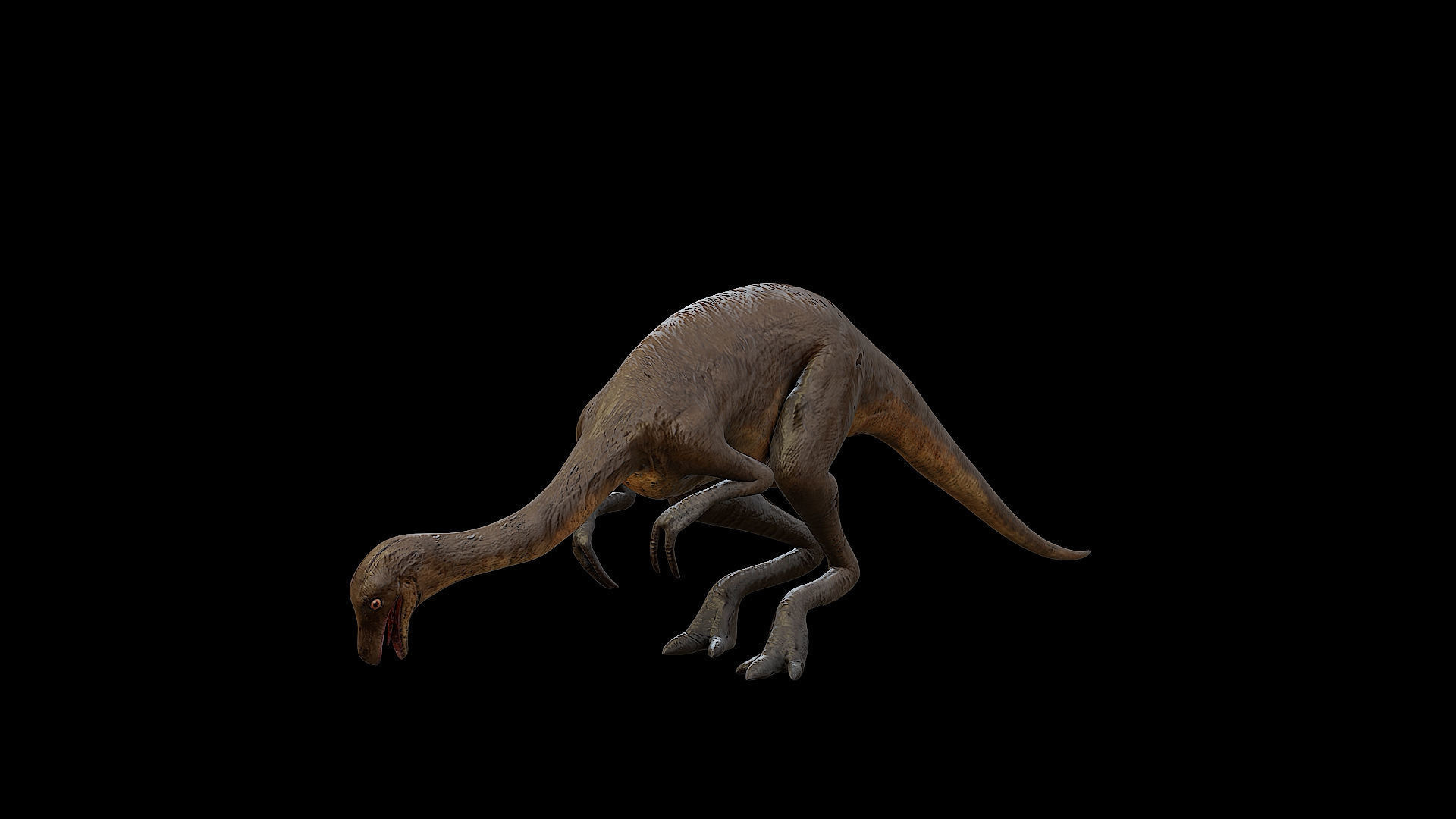 Gallimimus - The Chicken Mimic Low-poly 3D model_30