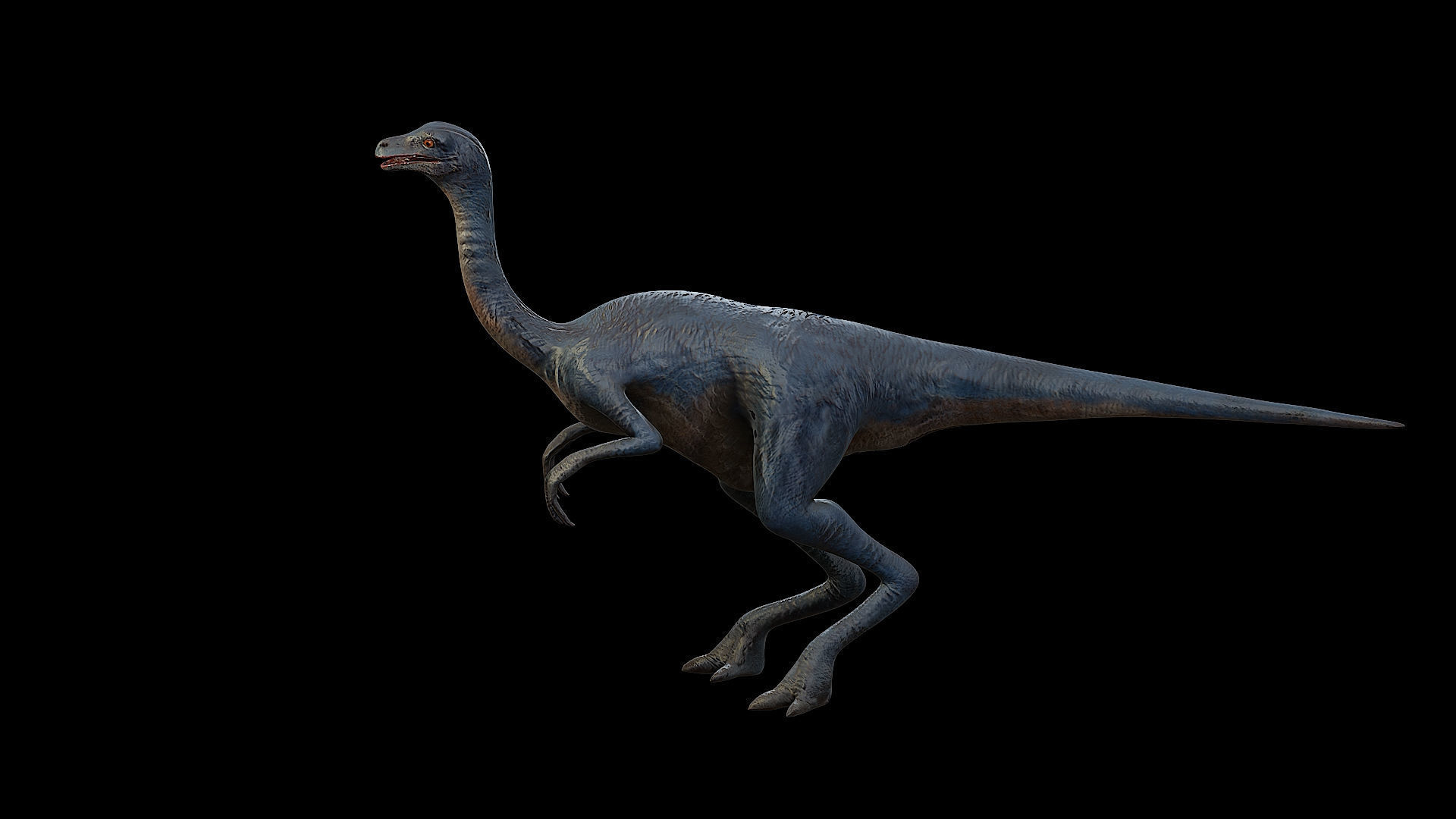 Gallimimus - The Chicken Mimic Low-poly 3D model_6