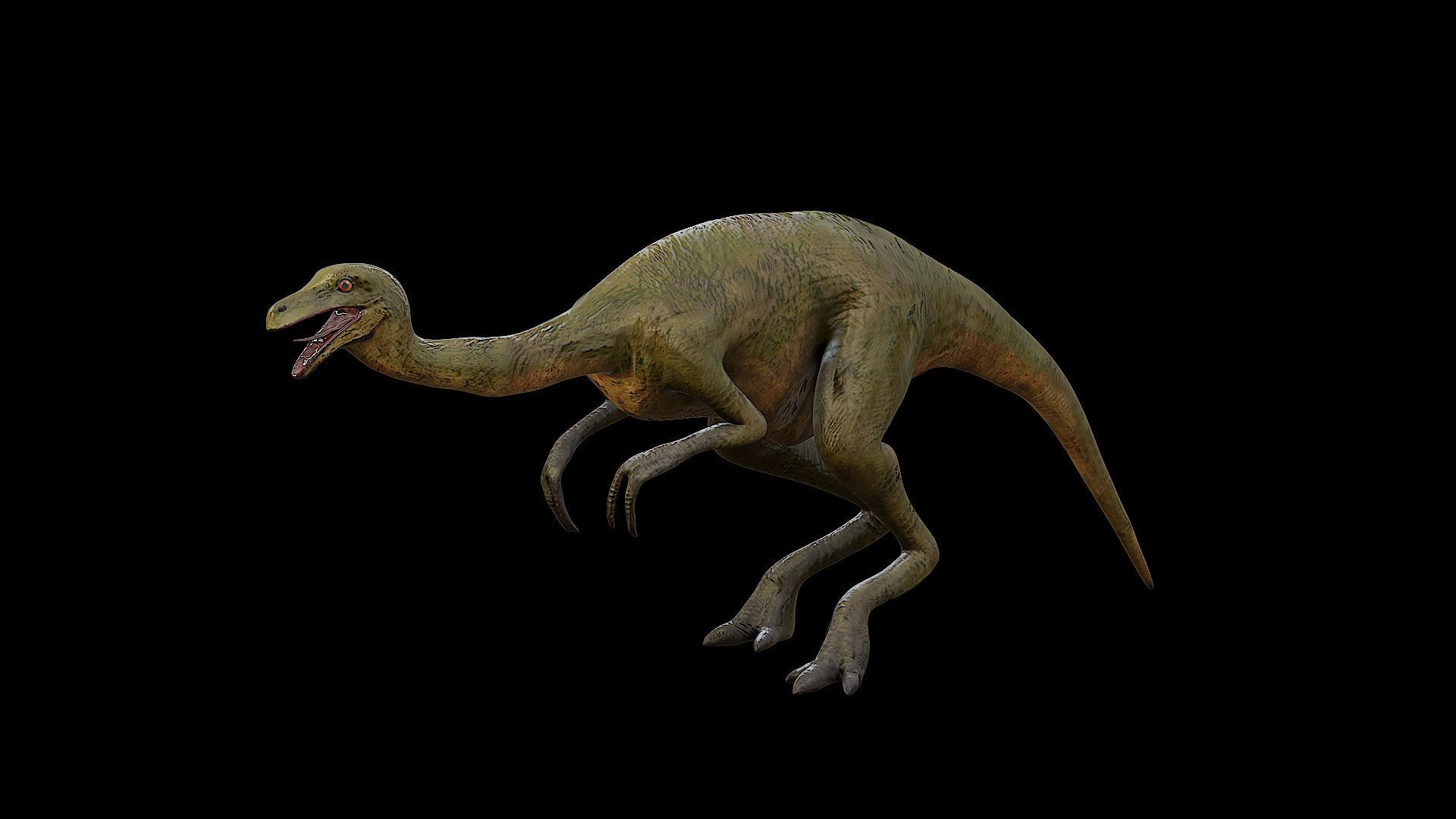 Gallimimus - The Chicken Mimic Low-poly 3D model_28