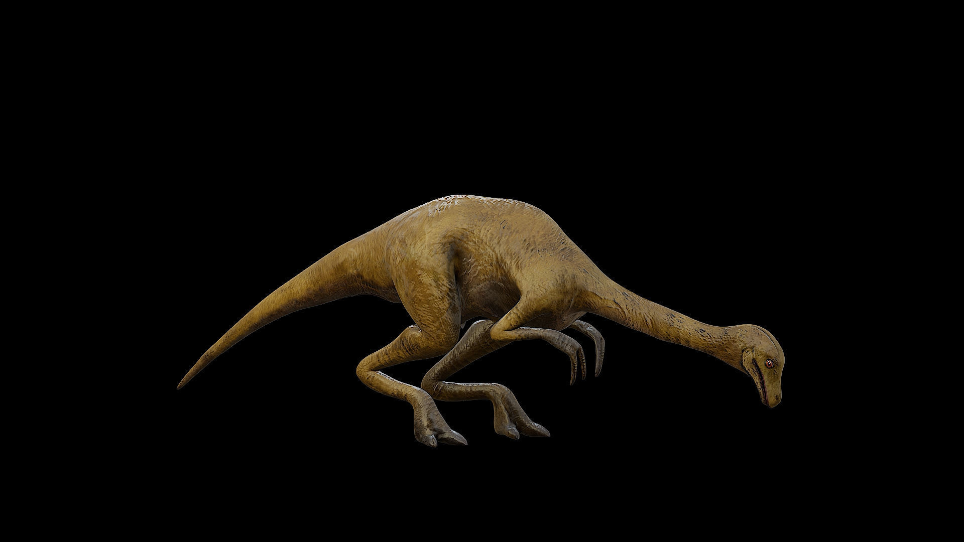 Gallimimus - The Chicken Mimic Low-poly 3D model_33