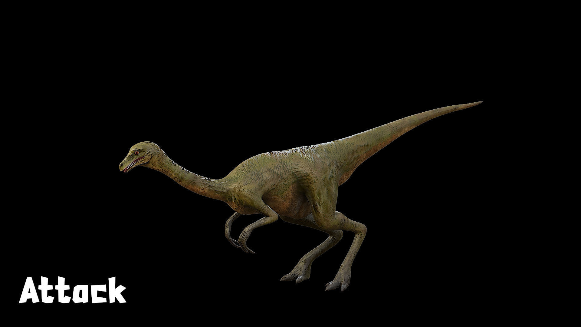 Gallimimus - The Chicken Mimic Low-poly 3D model_22