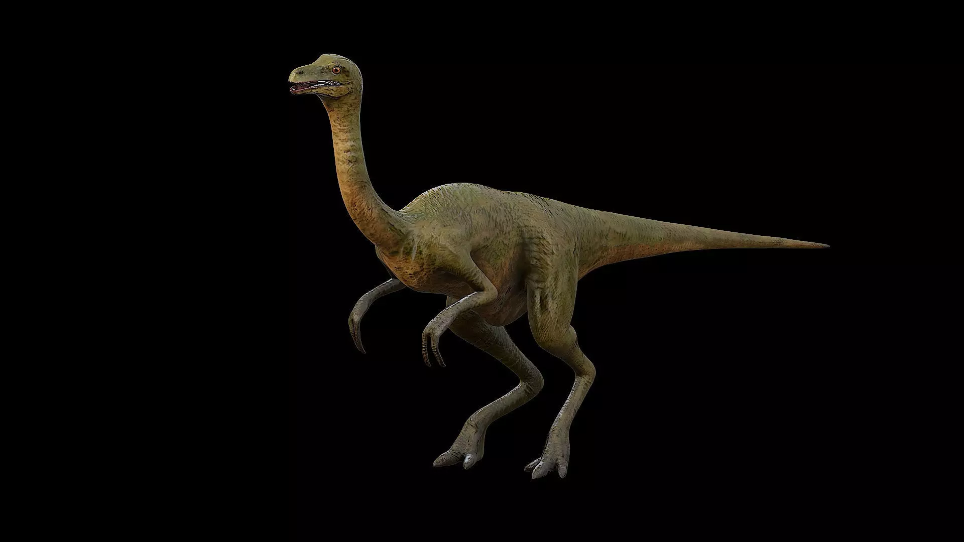 Gallimimus - The Chicken Mimic Low-poly 3D model_0