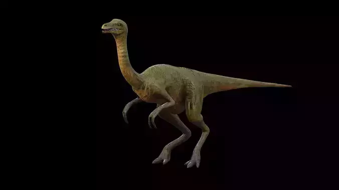 Gallimimus - The Chicken Mimic Low-poly 3D model