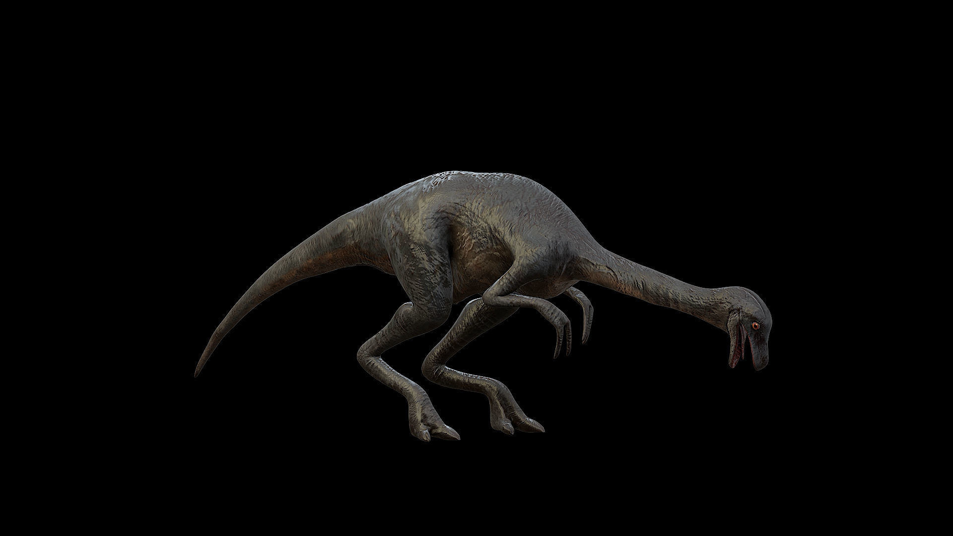 Gallimimus - The Chicken Mimic Low-poly 3D model_32