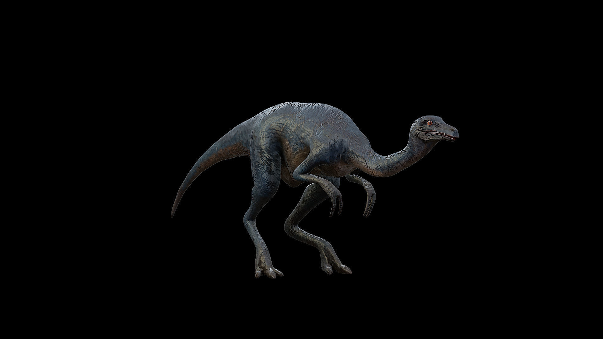 Gallimimus - The Chicken Mimic Low-poly 3D model_31