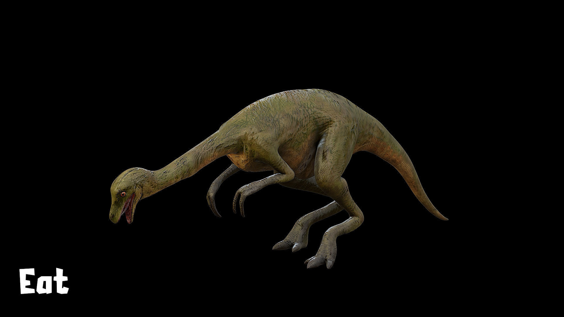 Gallimimus - The Chicken Mimic Low-poly 3D model_20