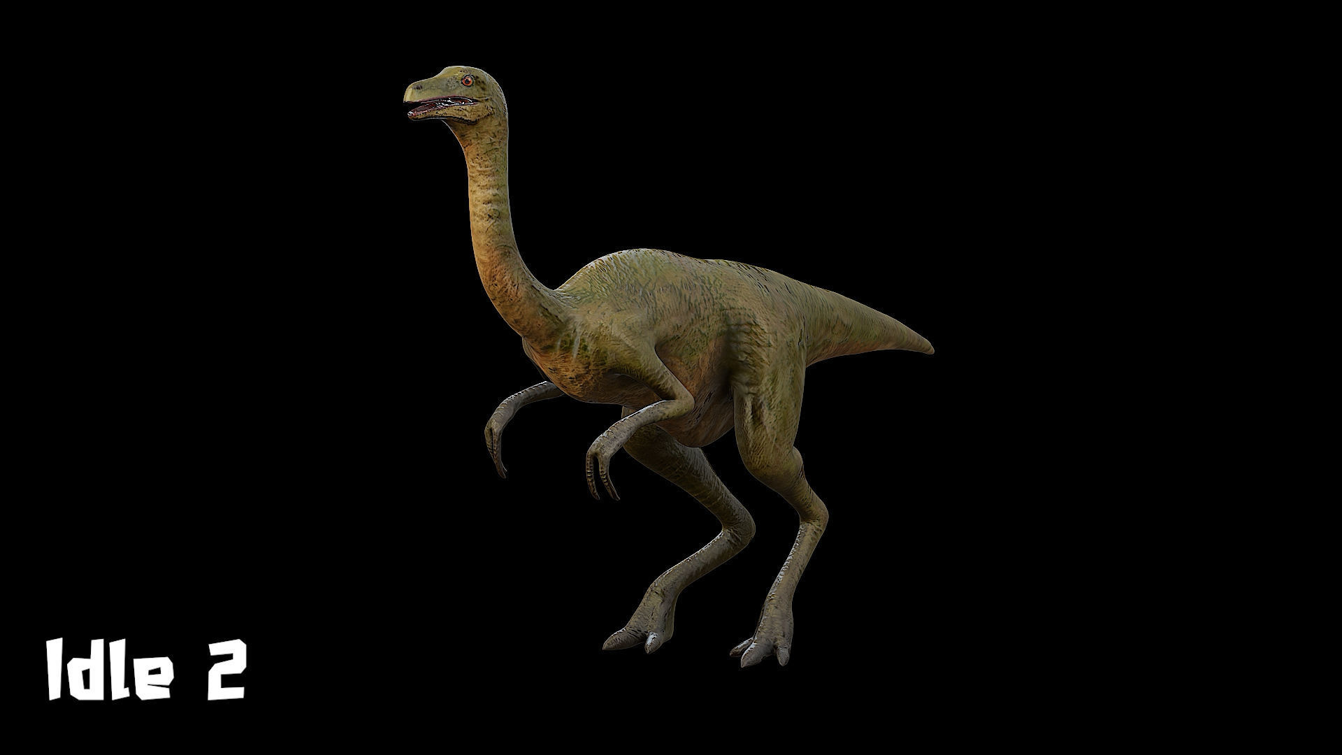 Gallimimus - The Chicken Mimic Low-poly 3D model_13