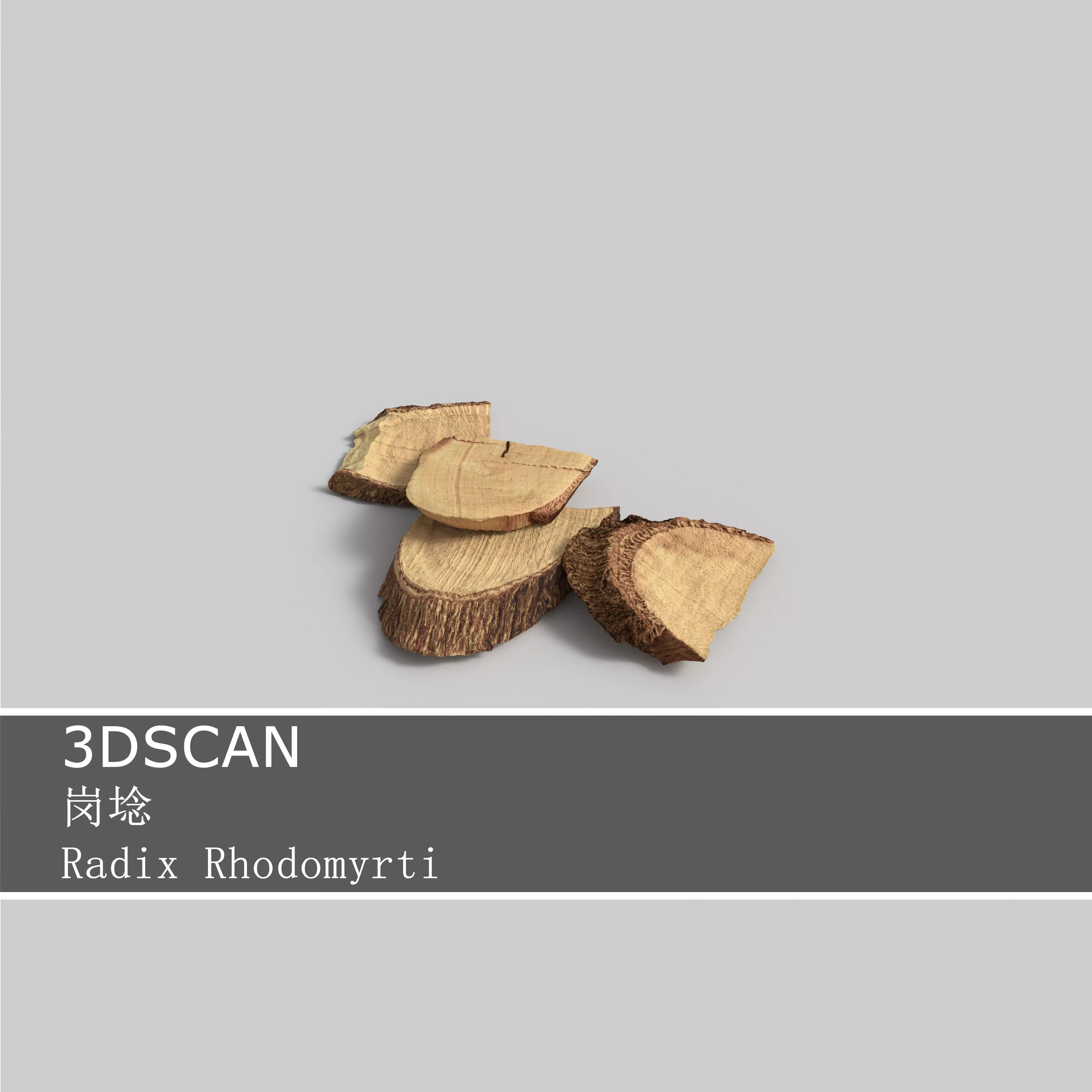 3DSCAN-Traditional Chinese Medicine-Radix Rhodomyrti Low-poly 3D model