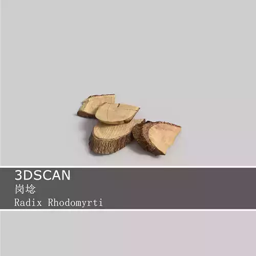 3DSCAN-Traditional Chinese Medicine-Radix Rhodomyrti Low-poly 3D model