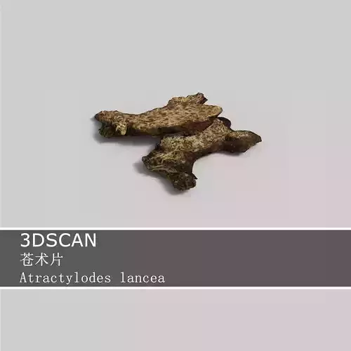 3DSCAN-Traditional Chinese Medicine-Atractylodes lancea Low-poly 3D model