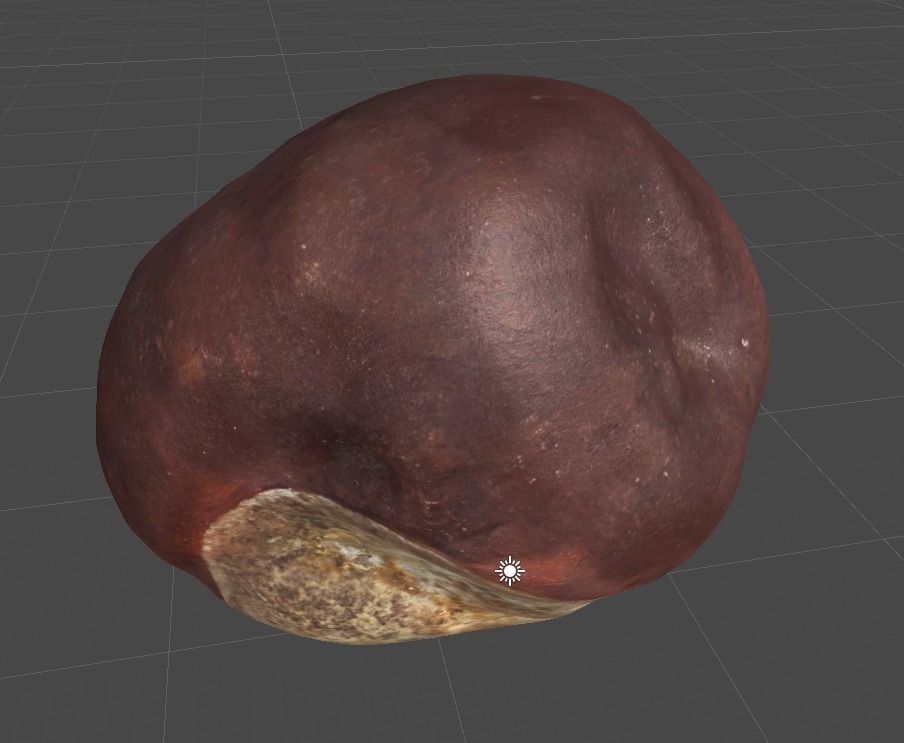 3DSCAN-Traditional Chinese Medicine-Fructus Aesculi Low-poly 3D model_2