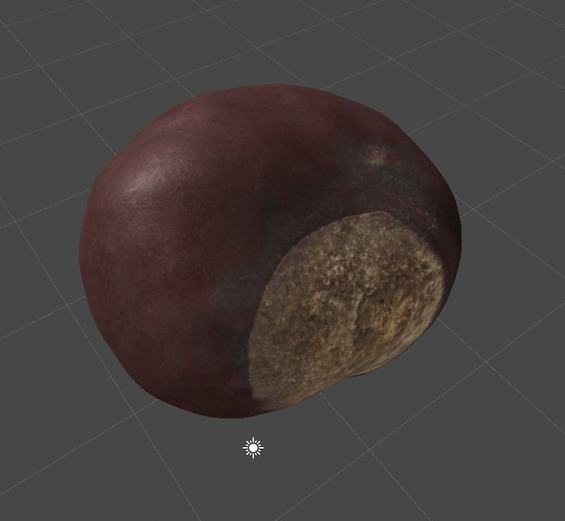 3DSCAN-Traditional Chinese Medicine-Fructus Aesculi Low-poly 3D model_1