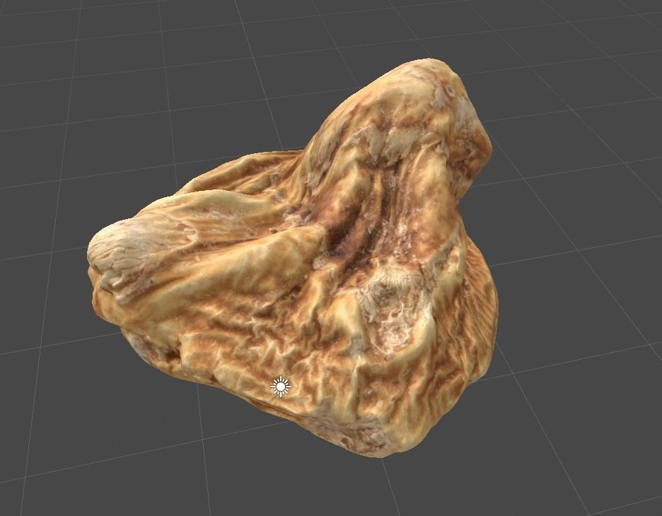 3DSCAN-Traditional Chinese Medicine-Appendiculate Cremastra Low-poly 3D model_2