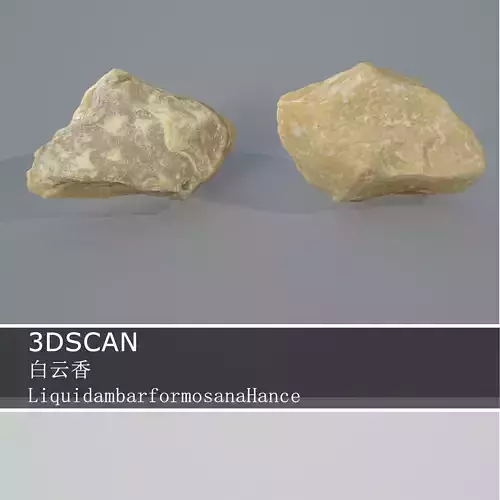 3DSCAN-Traditional Chinese Medicine-LiquidambarformosanaHance Low-poly 3D model