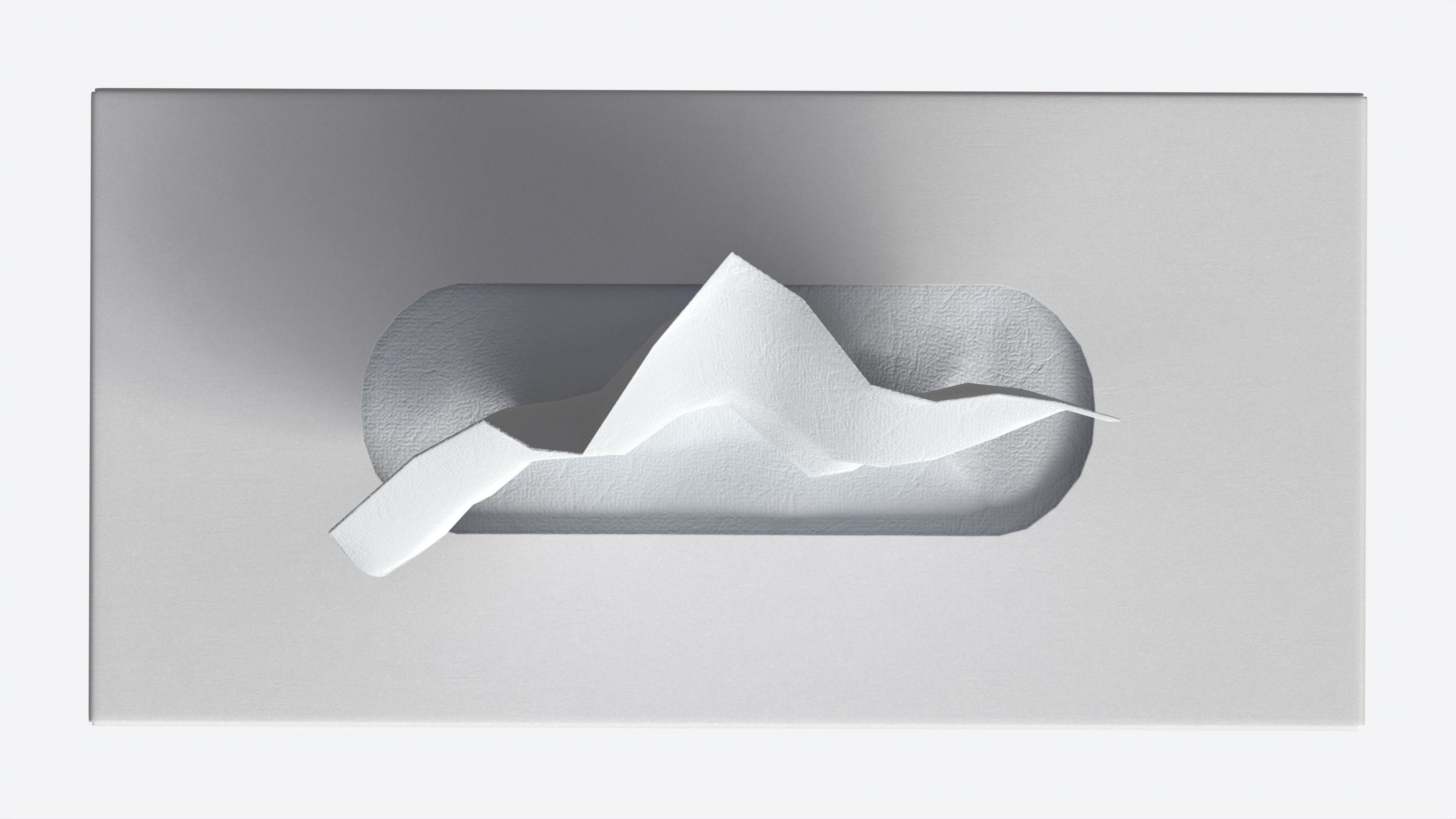 Tissue Box Rectangular Mockup 3D model_5