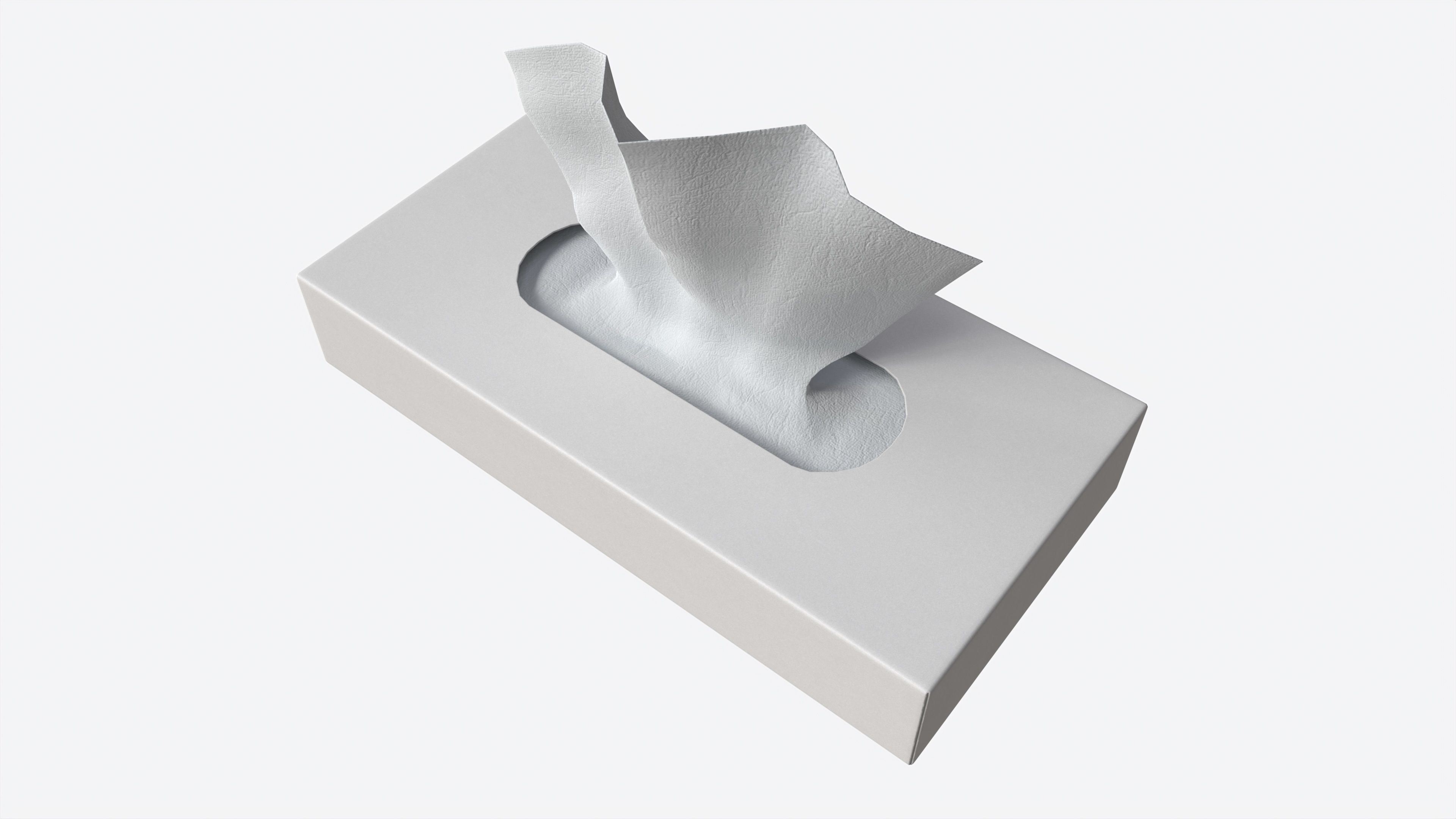 Tissue Box Rectangular Mockup 3D model_1