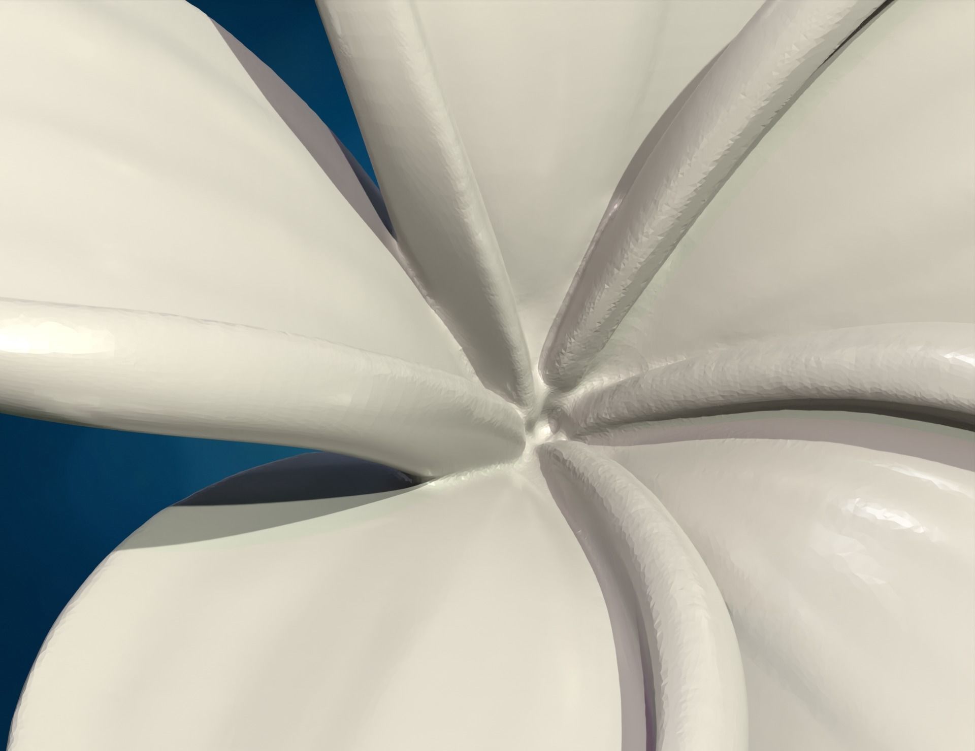 Plumeria Flower 3D print model_8