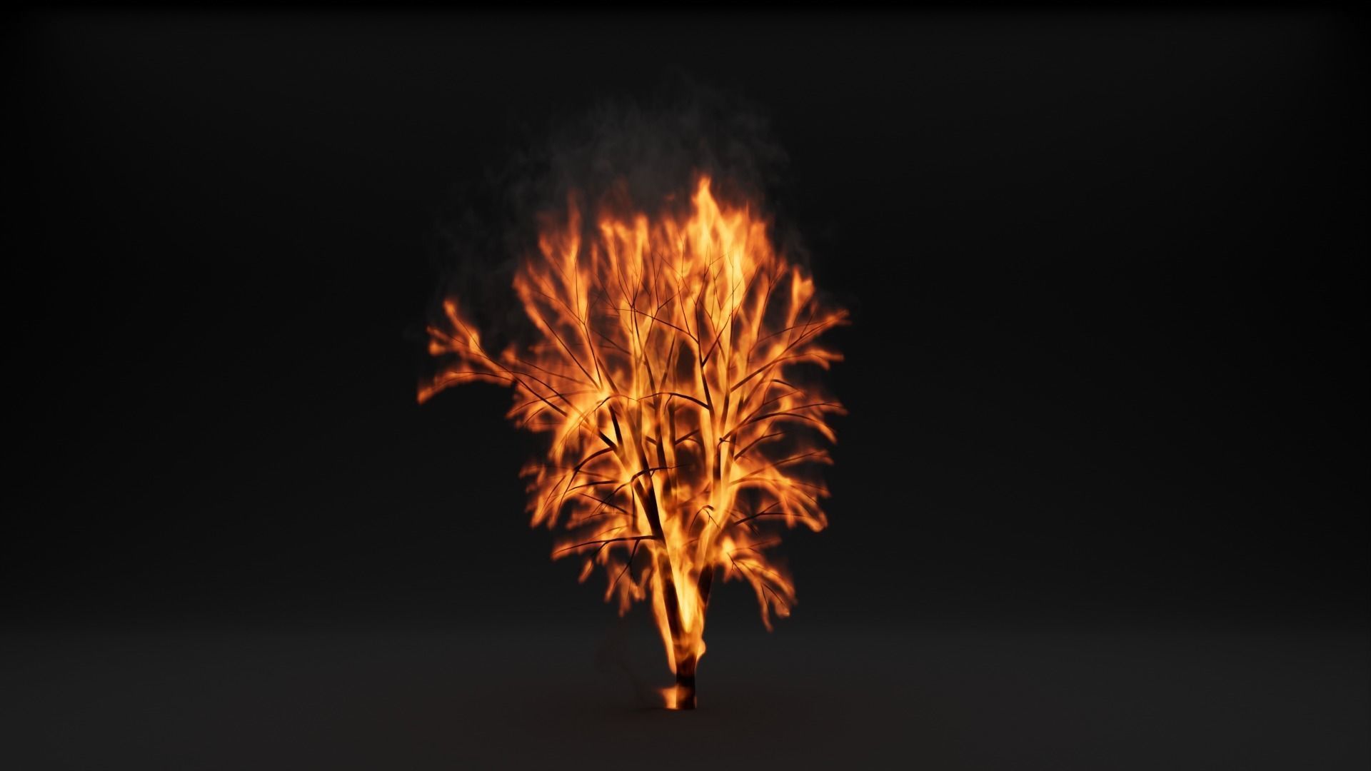 High-Resolution Burning tree - vdb animated 3D model_11