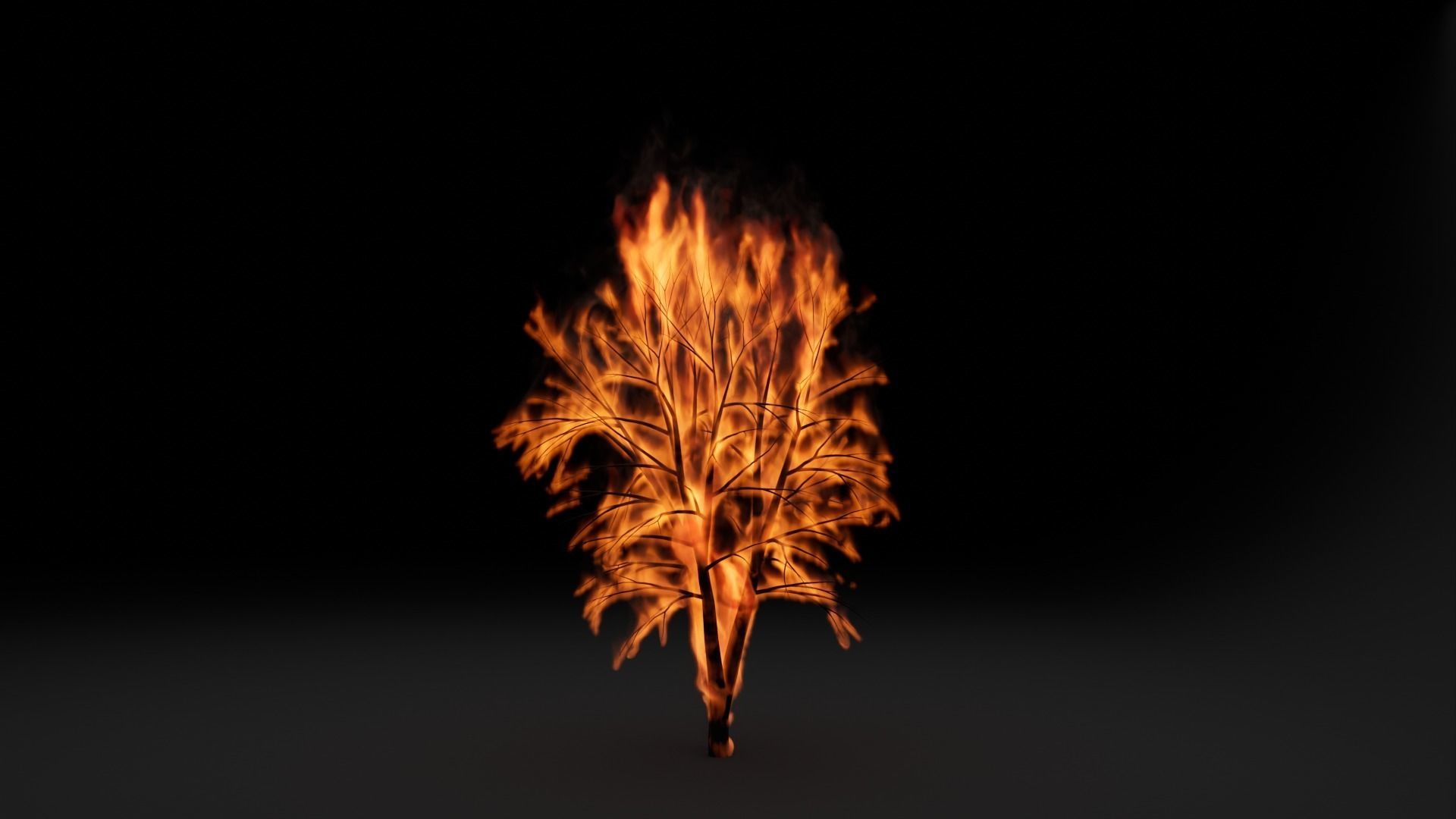 High-Resolution Burning tree - vdb animated 3D model_7