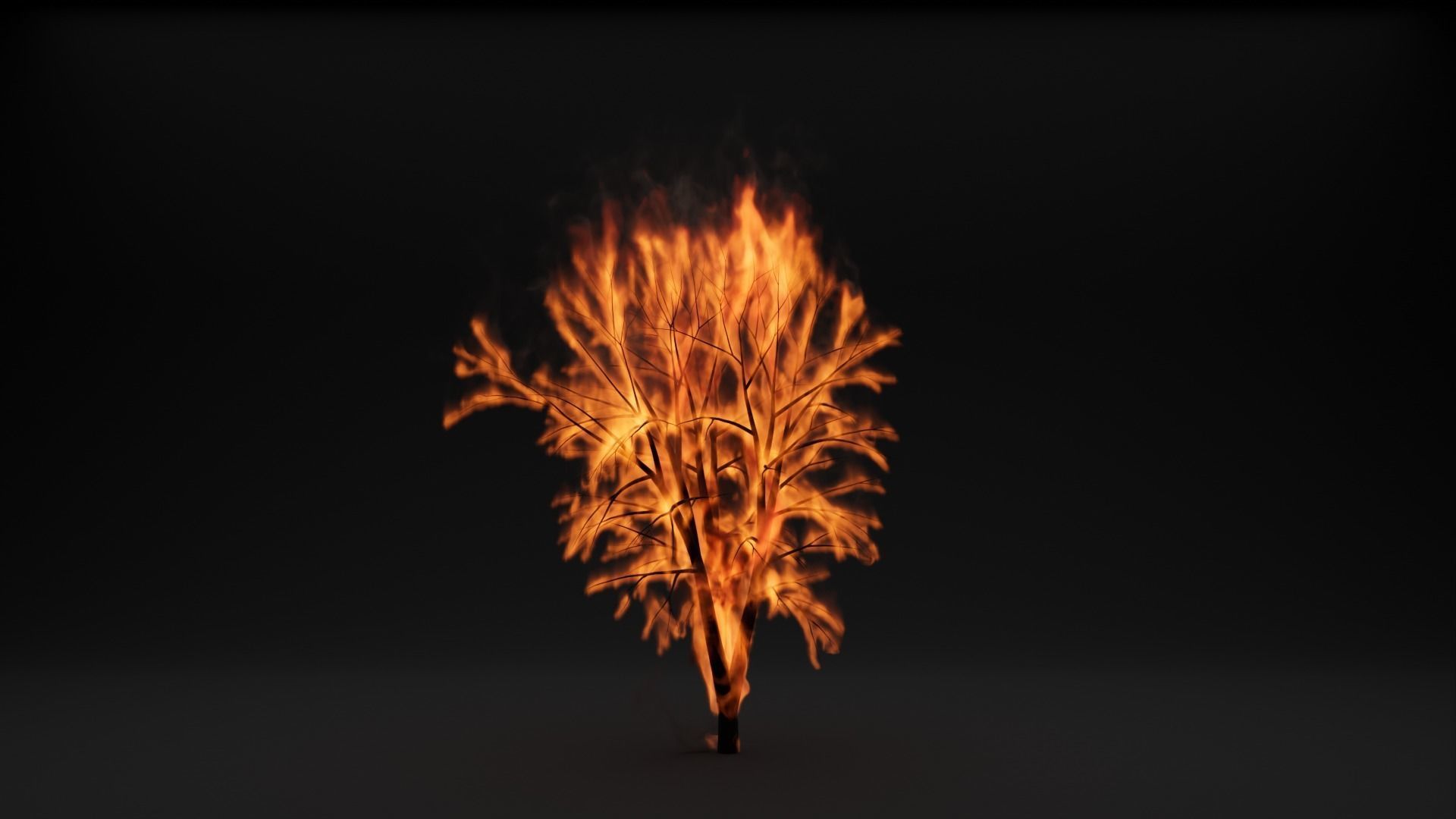 High-Resolution Burning tree - vdb animated 3D model_6