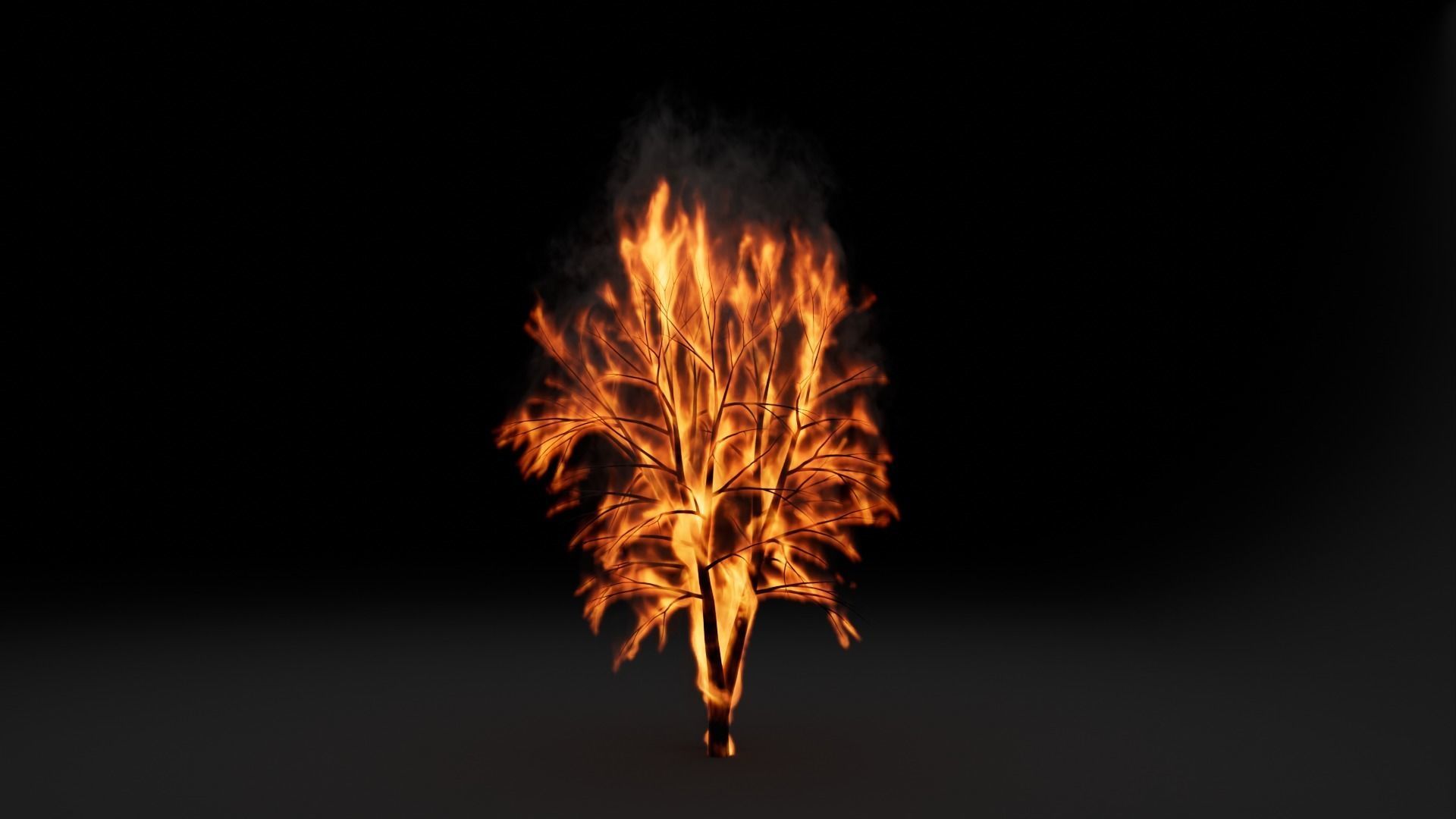 High-Resolution Burning tree - vdb animated 3D model_12