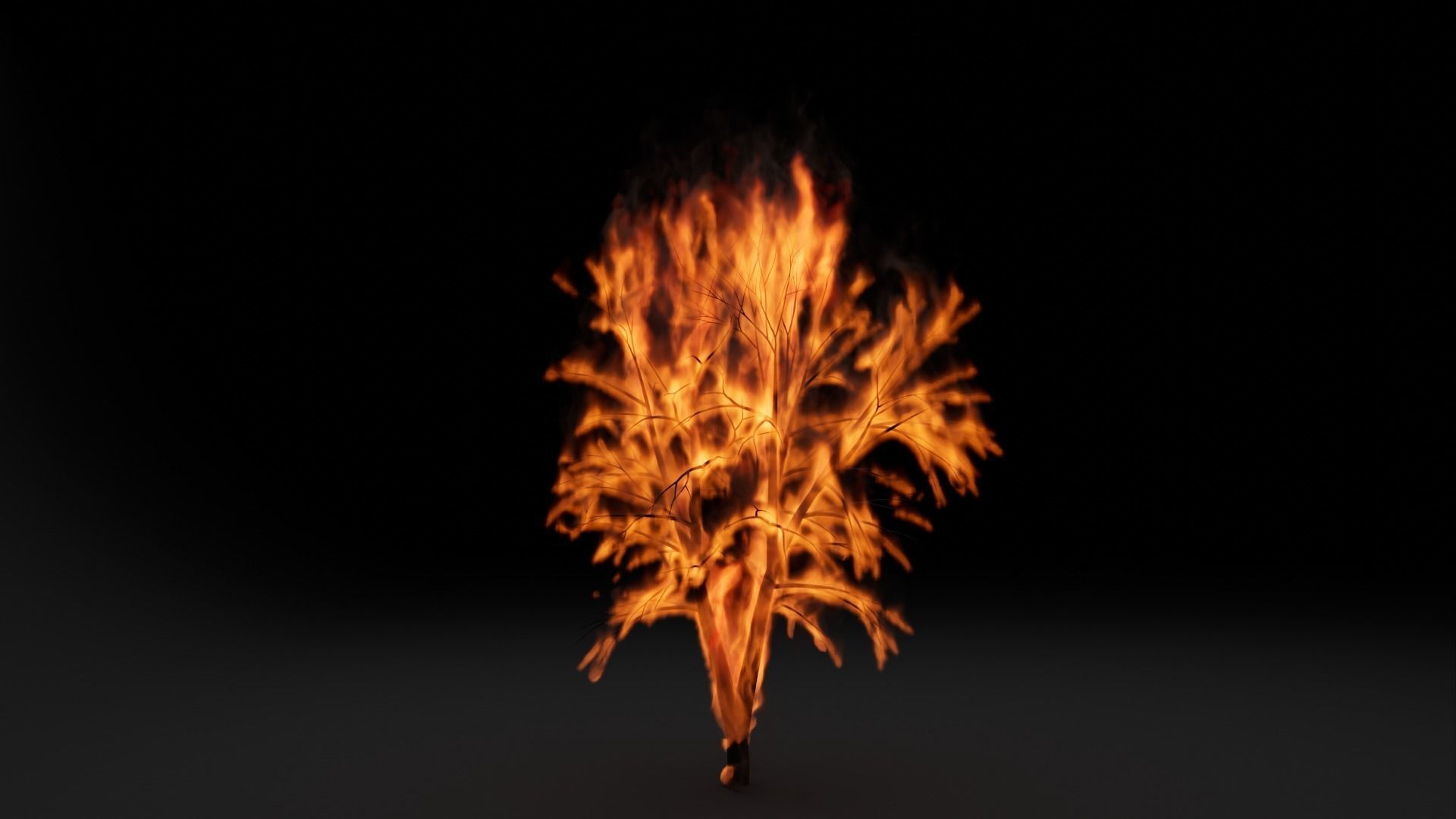 High-Resolution Burning tree - vdb animated 3D model_8