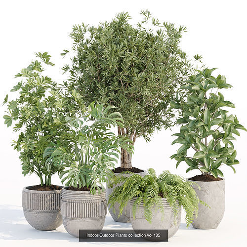 71 Plant collection vol 200 3D Model Pack 5